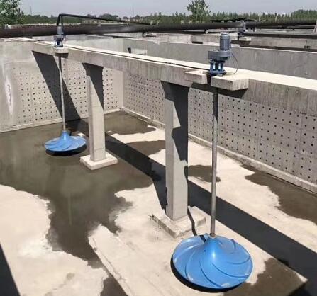 ˫��������