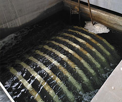 ��ȴ������� �˲��˳�